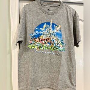 Disney World  Gray T-Shirt with Colorful Characters